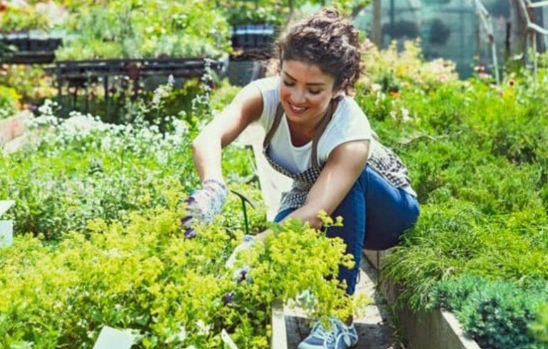 How Much Does a Gardener Make in the UK?