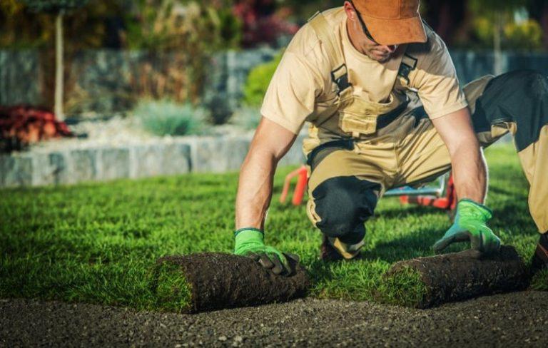 How Much Does a Landscaper Make in the UK?