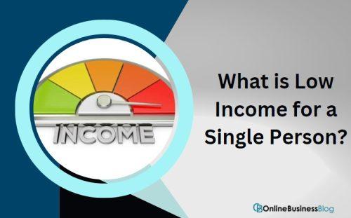 What is Low Income for a Single Person