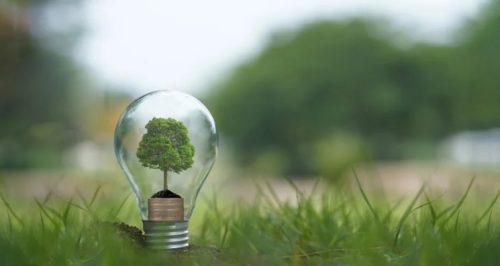 The Role of Renewable Energy in Lighting